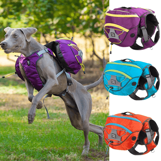 Pet Self Backpack | Dog Self Backpack
