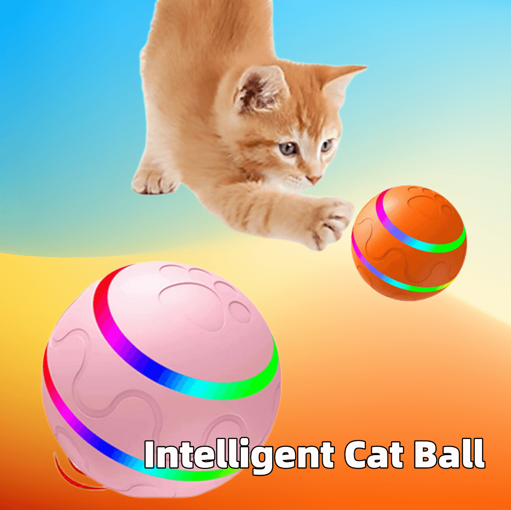   Remote Control Ball For Cats | Interactive Wicked Pet Toy Ball USB