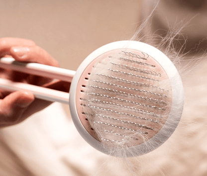 Cat Brush For Long Hair | Grooming Tool For Cats