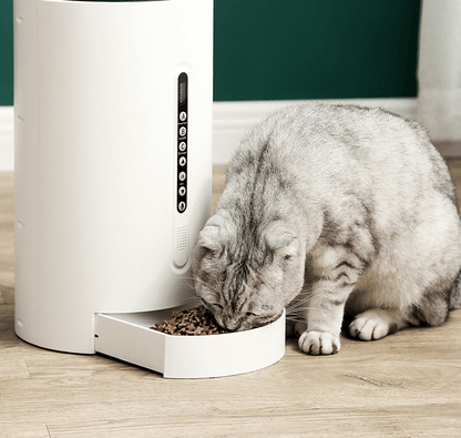 Pet Genius Smart Feeder | Automatic Cat Feeder Petsmart