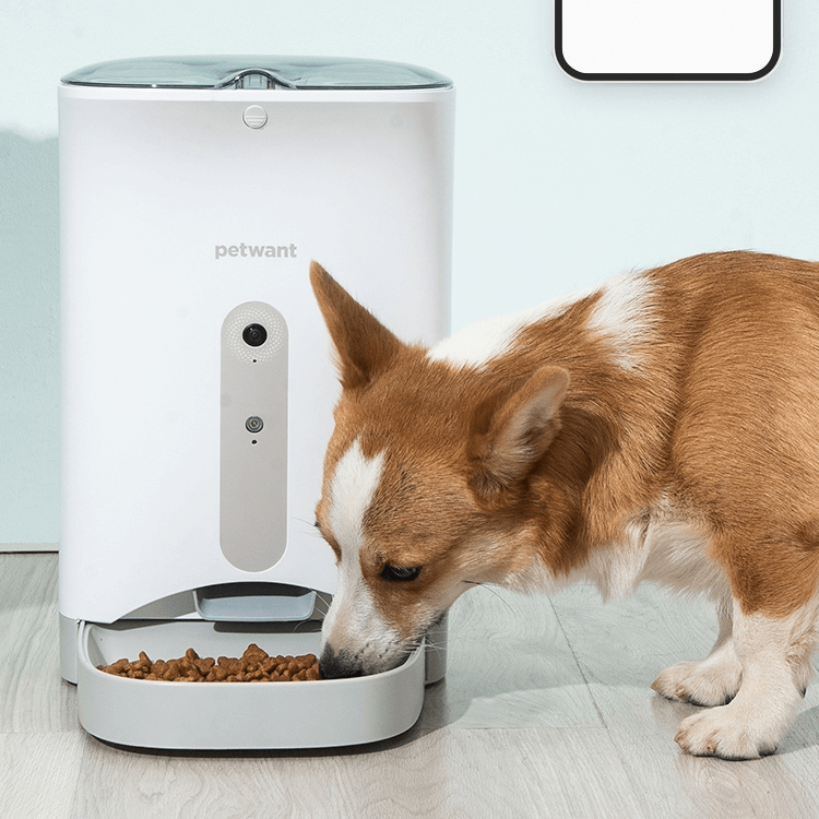 Pet food and animal feeds  | Automatic pet feeder wet food