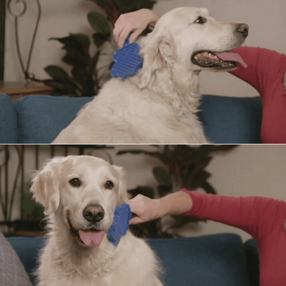 Pet Hair Brush Gentle | Dog Hair Flat Brush