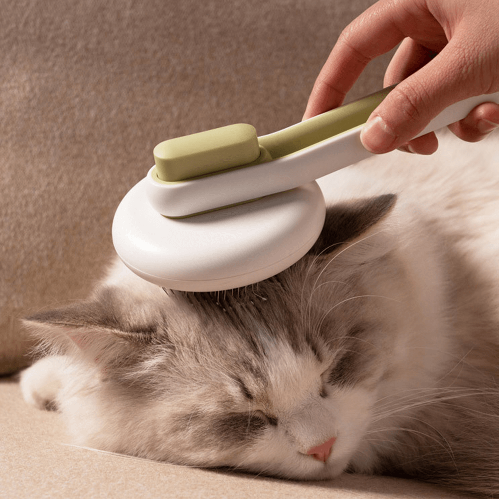 Cat Brush For Long Hair | Grooming Tool For Cats