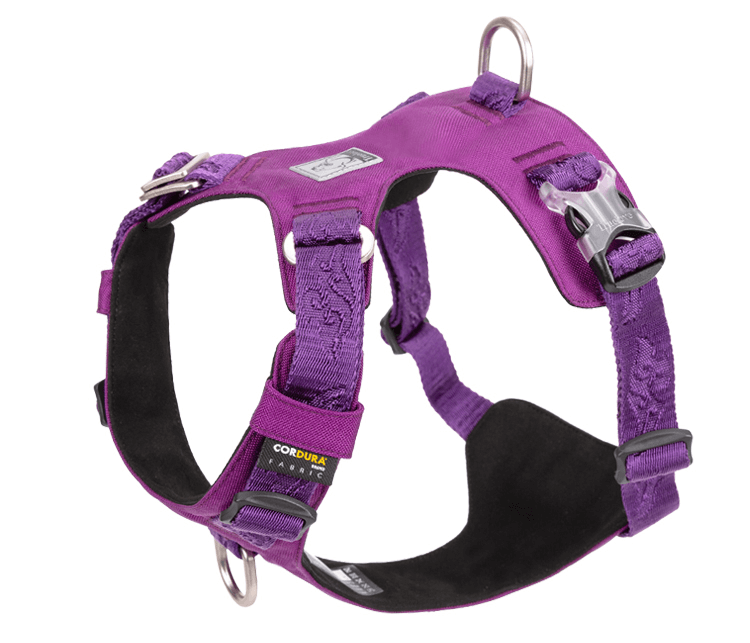 Exclusive Leather Dog Harness | Best Dog Pulling Harness