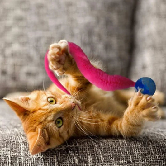 Typared Jiggle Ball for Cat