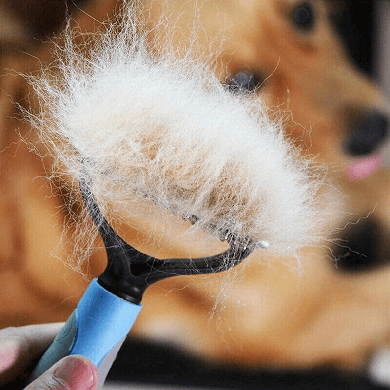 Best Deshedding Tool For Dogs | Dog Grooming Deshedding