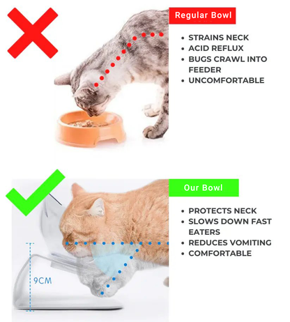 Orthopedic Anti-Vomiting Cat Feeder