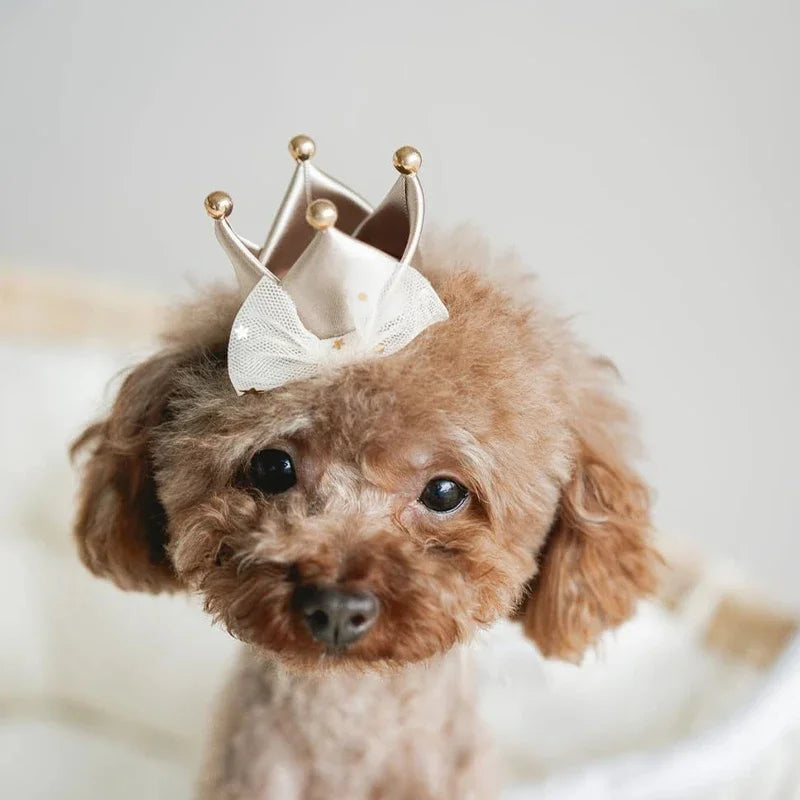 Cute Lace Princess Crown Dog Cat Pet Hair Clip