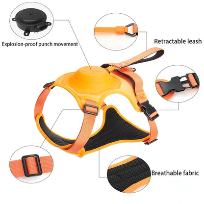 Dog Harness And Retractable Leash