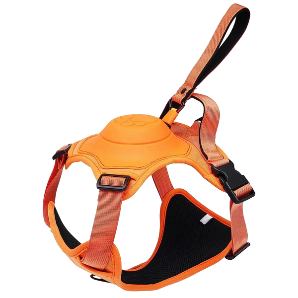 Dog Harness And Retractable Leash